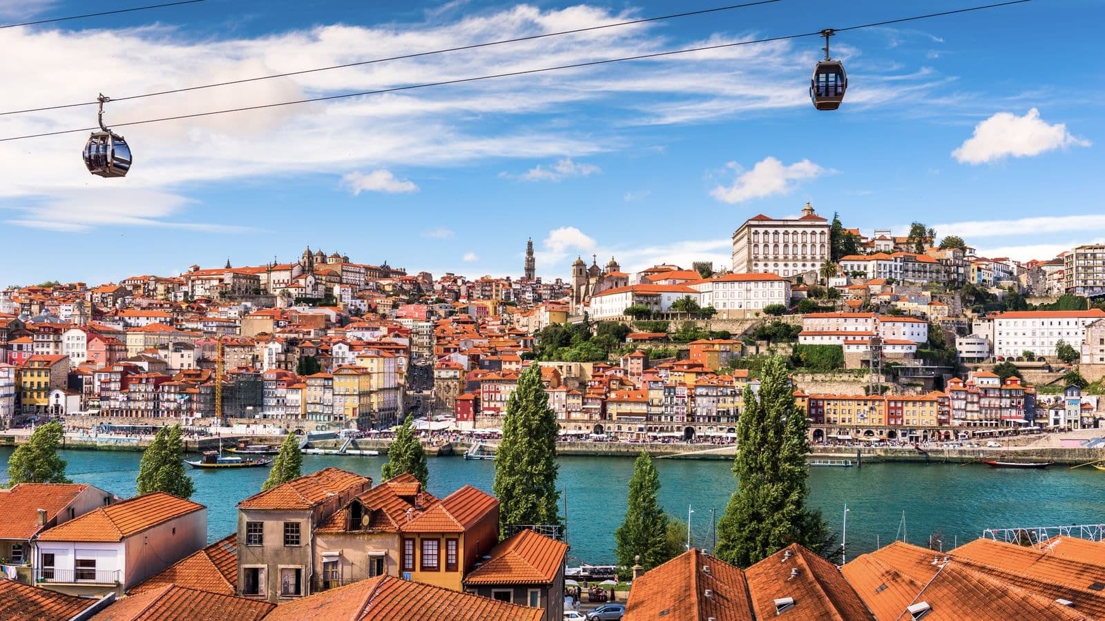Porto Half Day Private Chauffeur Experience